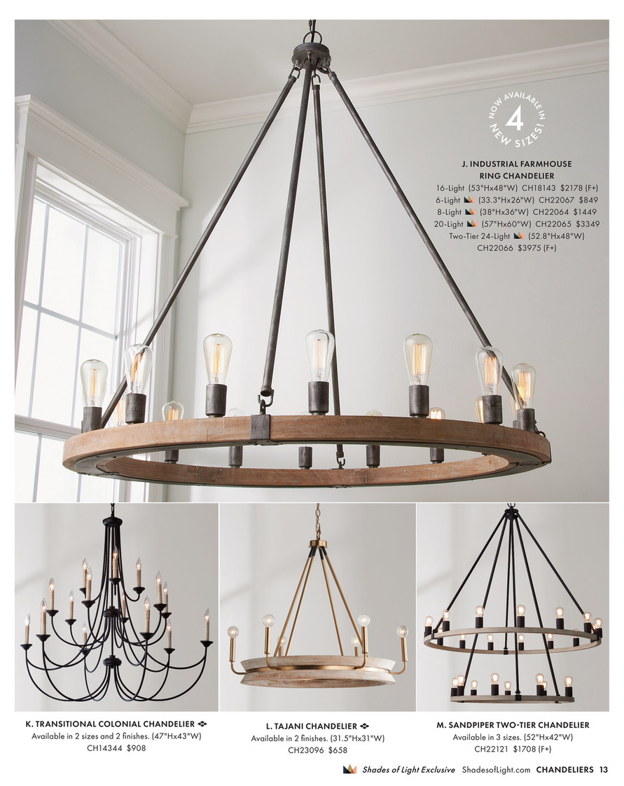 Shades of Light - Blossoming Elegance 2024 - Driftwood Entwined