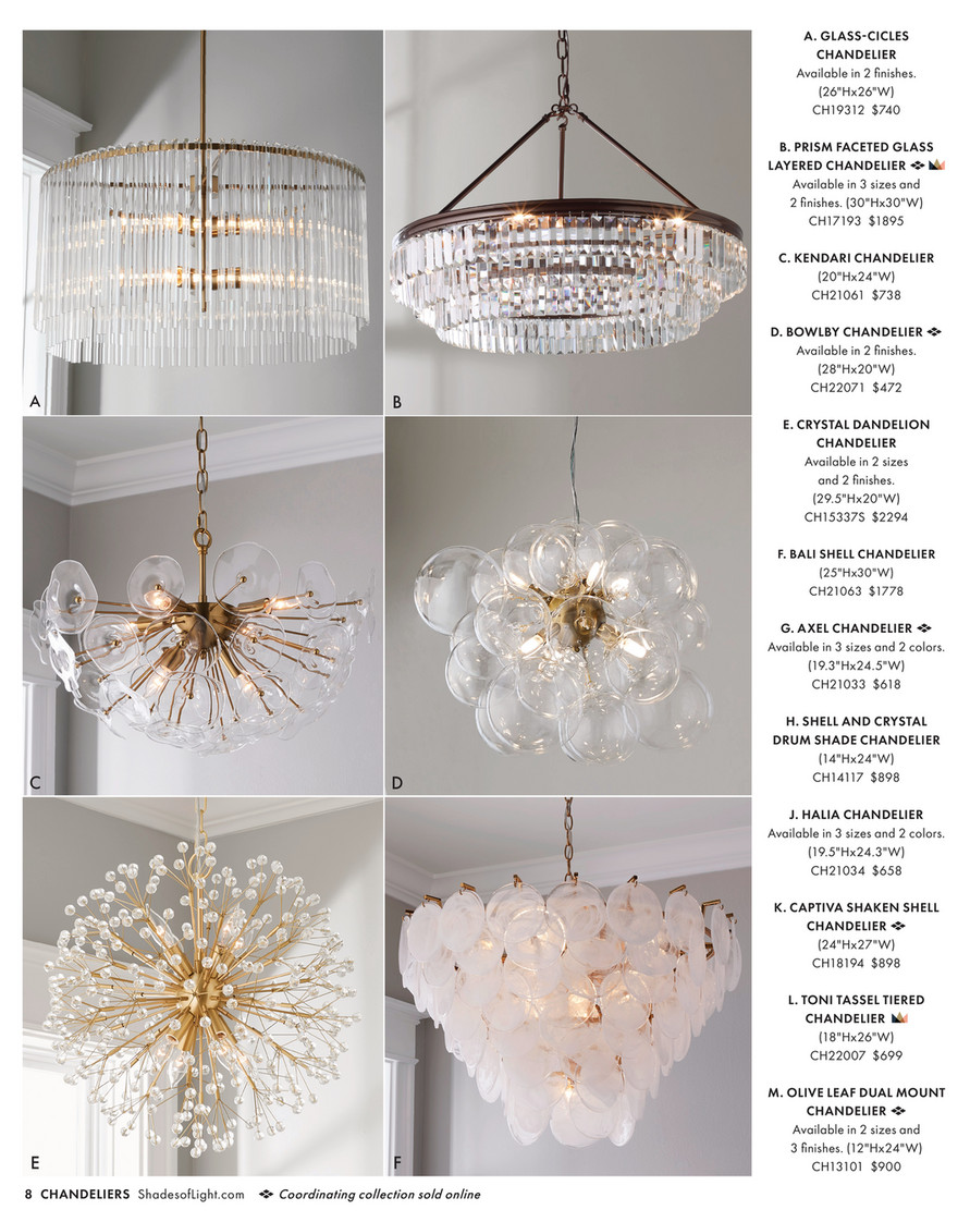 Shades of Light - Blossoming Elegance 2024 - Driftwood Entwined